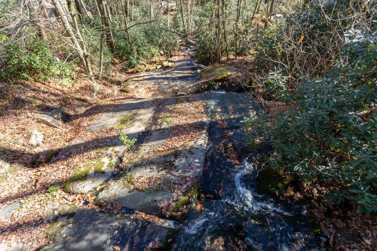 A serene stream winds through lush foliage and scattered rocks, capturing the peaceful and natural environment right on the property. The surrounding greenery and dappled light evoke the sense of adventure and natural beauty available just steps from the cabin.