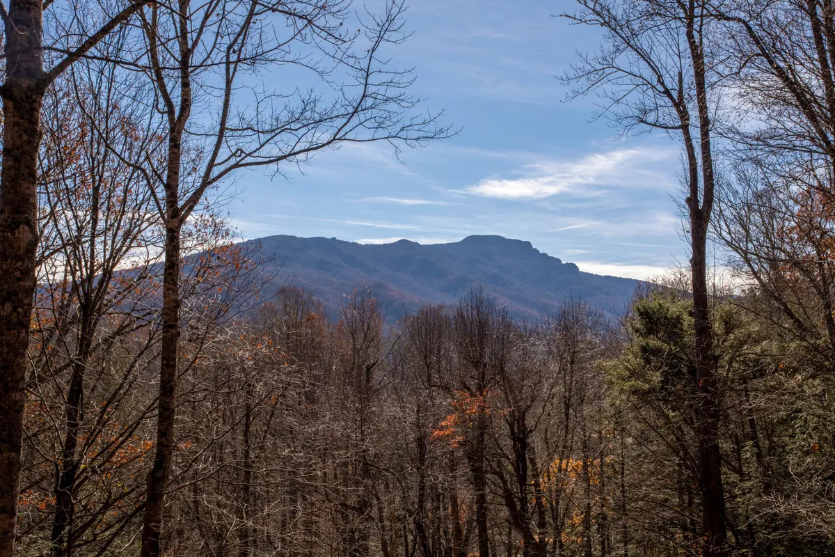 An expansive view of a mountain range with bare trees in the foreground and a sweeping sky above. The scene invites thoughts of hiking, photography, or simply soaking in panoramic vistas—key activities mentioned in the section.